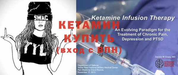 шишки Кодинск