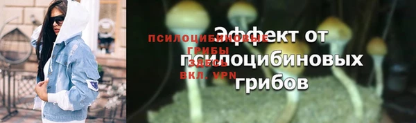 трава Козельск