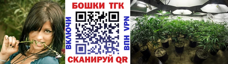 Шишки марихуана сатива  Солнечногорск 